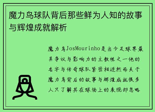 魔力鸟球队背后那些鲜为人知的故事与辉煌成就解析 魔力鸟球队背后那些鲜为人知的故事与辉煌成就解析