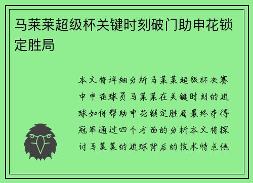 马莱莱超级杯关键时刻破门助申花锁定胜局