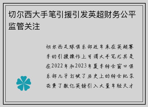 切尔西大手笔引援引发英超财务公平监管关注 切尔西大手笔引援引发英超财务公平监管关注